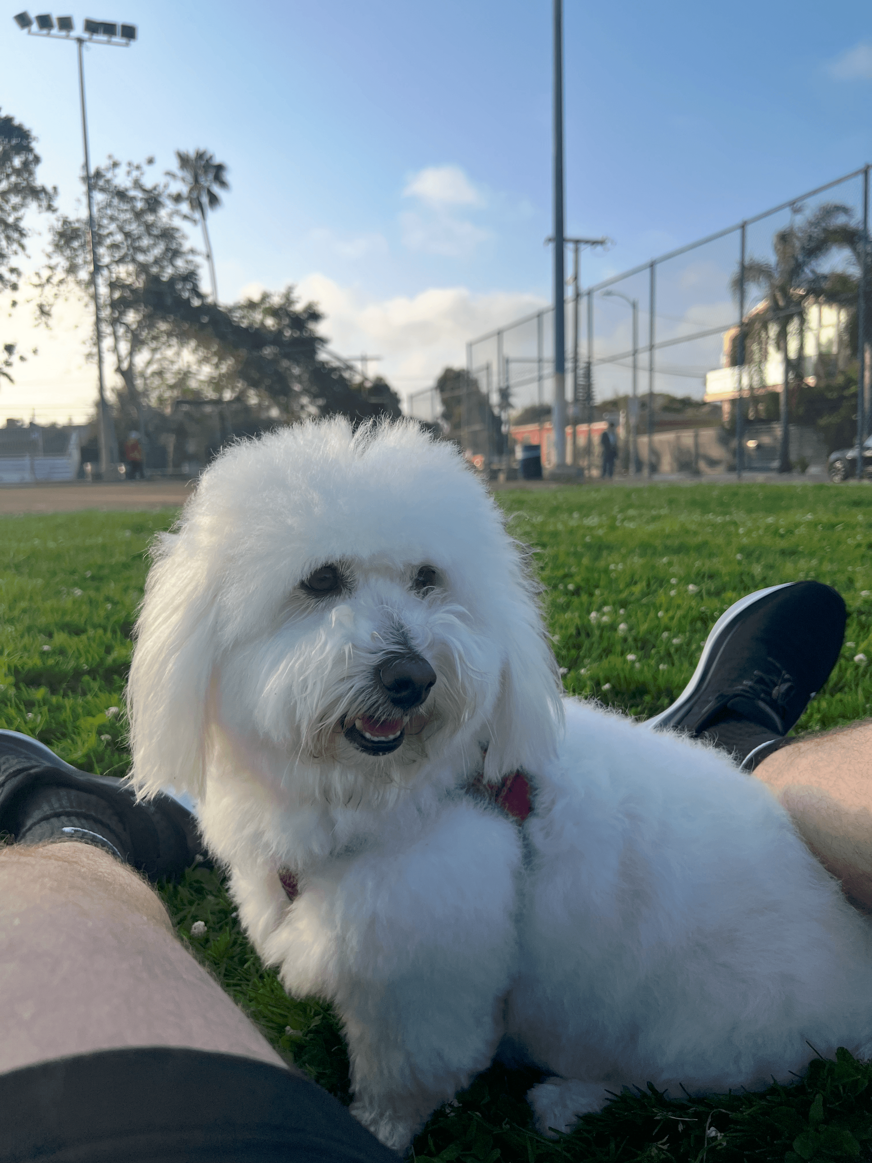 Louie being adorable